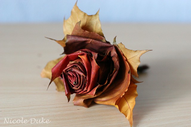 How To Make Maple Leaf Roses 8