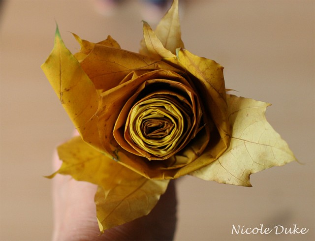 How To Make Maple Leaf Roses 9