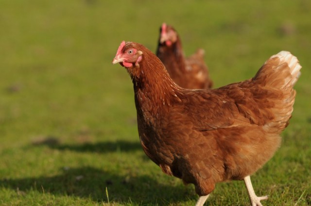 How To Read Grocery Store Labels 4