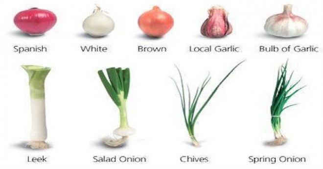 Garlic Types