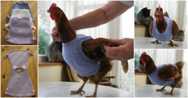 Hen Jumpers
