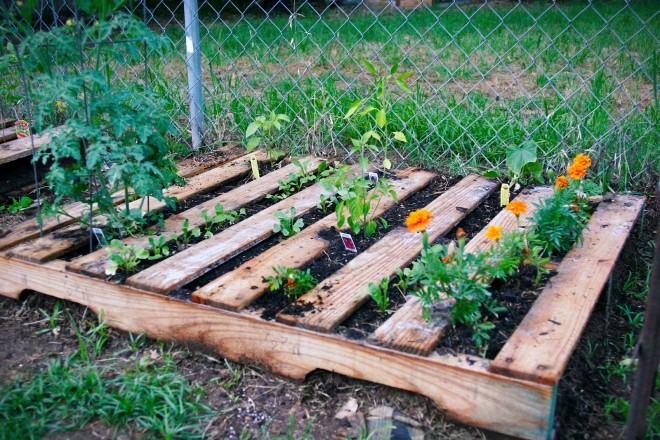 Pallet Gardens