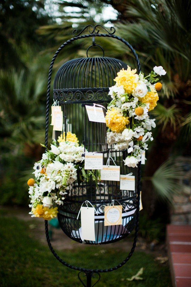 Bird Cage 6