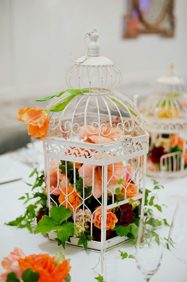 Bird Cage 7