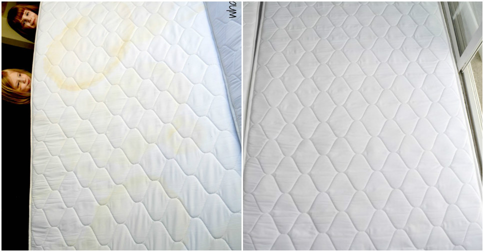 How To Get Pee Stain Out Of A Mattress How To Instructions