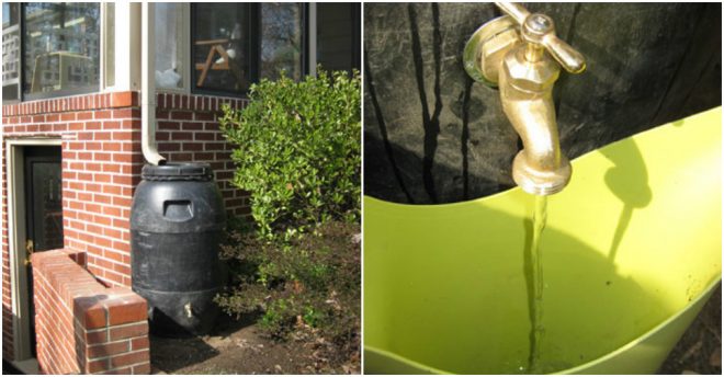 How To Build A Rain Barrel