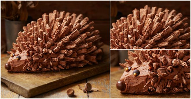 How To Make A Hedgehog Cake