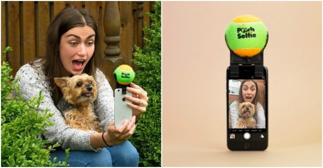 Pooch Selfie - How To Take Selfie With Your Dog Easily 1