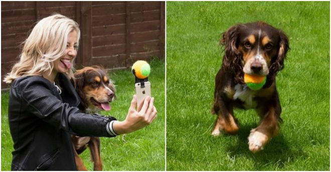 Pooch Selfie - How To Take Selfie With Your Dog Easily 2