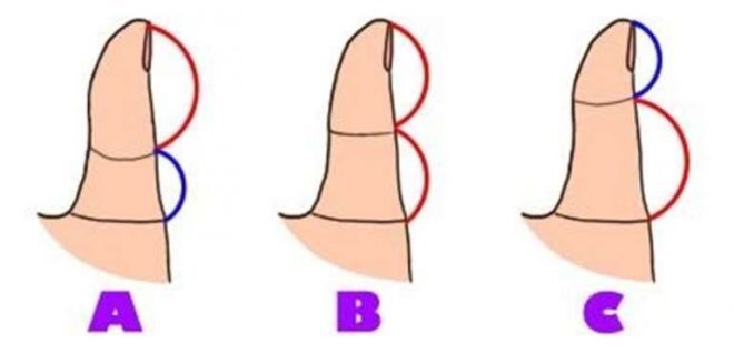 What Your Thumb Says About You