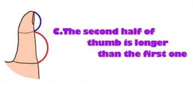What Your Thumb Says About You C