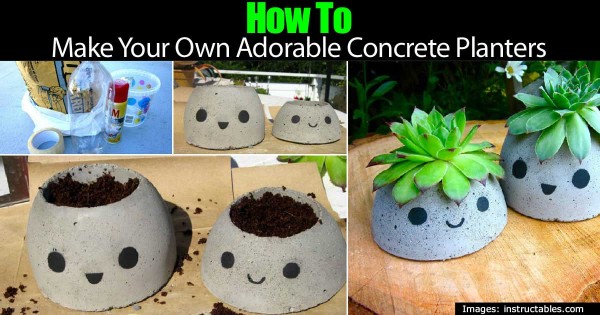 how-to-make-adorable-concrete-planters