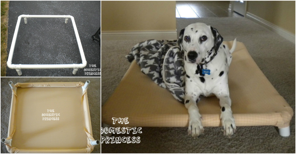 How To Build A Dog Bed With PVC Pipes How To Instructions