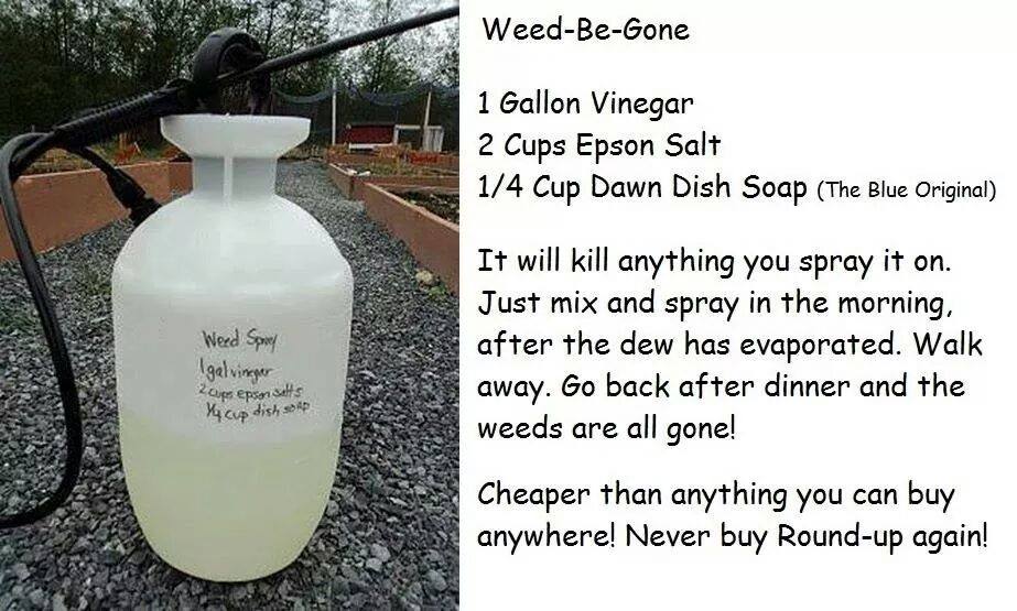 http://www.howtoinstructions.org/wp-content/uploads/2016/12/How-To-Make-DIY-Weed-Killer.jpg